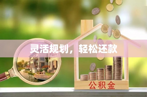 武宣灵活规划，轻松还款