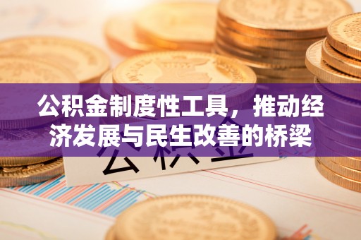 武宣公积金制度性工具，推动经济发展与民生改善的桥梁