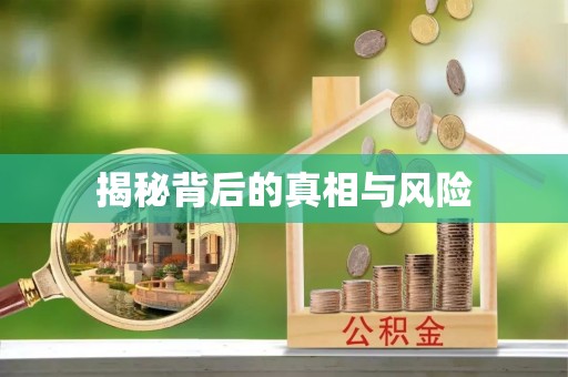 武宣揭秘背后的真相与风险