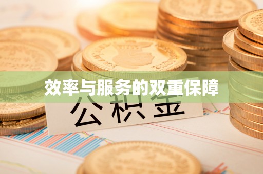 武宣效率与服务的双重保障