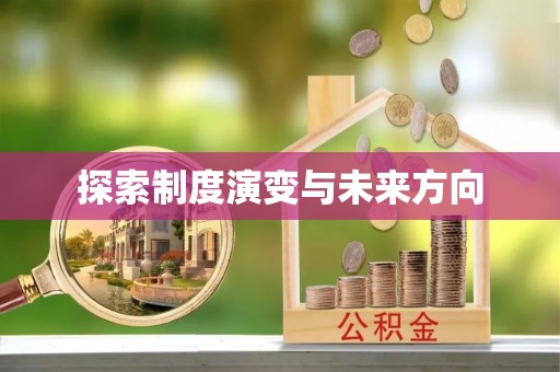 武宣探索制度演变与未来方向