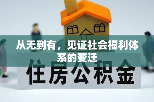 武宣从无到有，见证社会福利体系的变迁