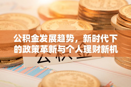 武宣公积金发展趋势，新时代下的政策革新与个人理财新机遇