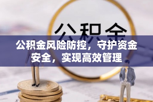 武宣公积金风险防控，守护资金安全，实现高效管理