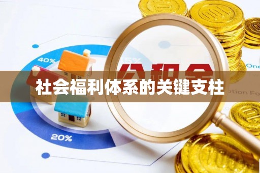 武宣社会福利体系的关键支柱