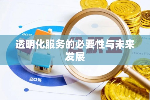 武宣透明化服务的必要性与未来发展