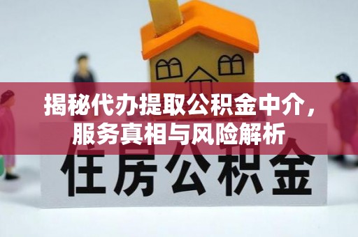武宣揭秘代办提取公积金中介，服务真相与风险解析