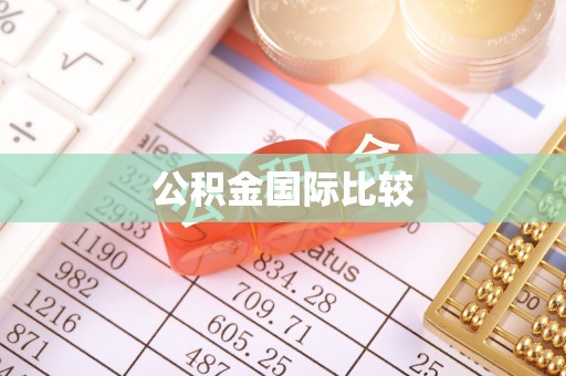 武宣公积金国际比较