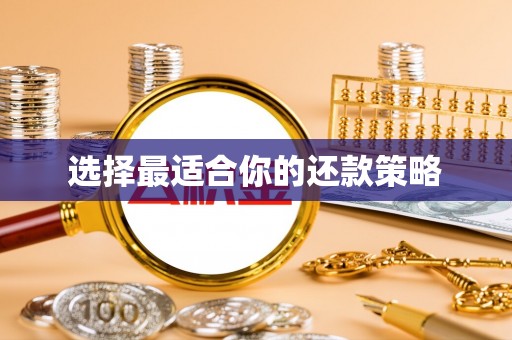 武宣选择最适合你的还款策略